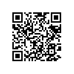 BKT-133-01-F-V-A-P QRCode