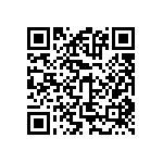 BKT-133-01-F-V-S QRCode