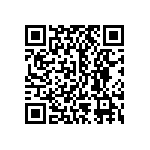 BKT-137-04-L-V QRCode