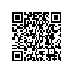 BKT-143-04-L-V-S-P QRCode