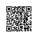 BKT-145-02-L-V-P QRCode