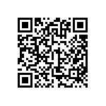 BKT-151-01-L-V-S-P QRCode