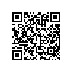 BKT-161-01-L-V-A-P QRCode