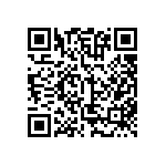 BKT-161-01-L-V-P-TR QRCode