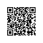 BKT-161-04-F-V-A-P QRCode