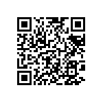 BKT-161-04-L-V-S-P QRCode