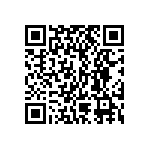 BKT-163-02-L-V-S QRCode