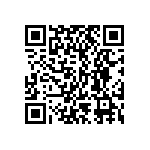 BKT-163-04-F-V-P QRCode