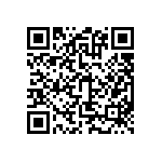 BKT-163-04-L-V-A-P QRCode