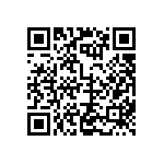 BR231-450B2-28V-007L QRCode