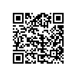 BZH01-Z0000-13 QRCode