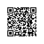 BZH11-Z0000-11 QRCode