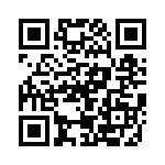 BZT55B13-L1G QRCode