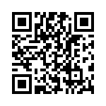 BZT55C4V3-L1G QRCode