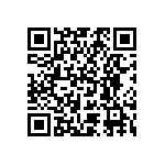 BZV15-Z0000-13 QRCode