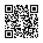 BZW04-19-B0G QRCode