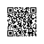 BZW04-256-E3-73 QRCode