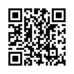 BZW06-33 QRCode