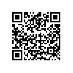 C0402C919C5GAC7867 QRCode