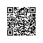 C317C161J3G5TA QRCode