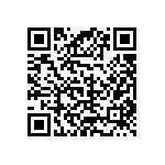 C317C169C3G5TA QRCode