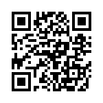 CE3391-24-704 QRCode