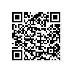 CW0051K300JE12HS QRCode