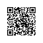 CW0101R300JE12 QRCode