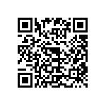 CW0101R300KE733 QRCode