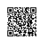 D55342E07B100BPWS QRCode