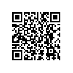 D55342E07B105ERWS QRCode