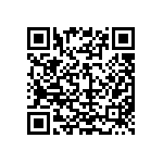 D55342E07B13B3RTP QRCode