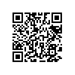 D55342E07B193BRT5 QRCode