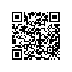 D55342E07B200ERWS QRCode