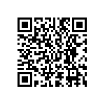 D55342E07B21B5MWS QRCode