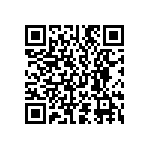 D55342E07B23B7RWS QRCode