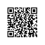 D55342E07B246ERWS QRCode