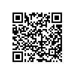 D55342E07B287ARWS QRCode