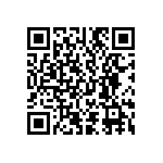 D55342E07B2B55RWS QRCode