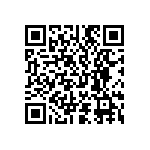 D55342E07B30B1PT5 QRCode