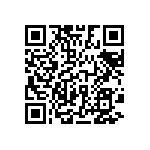 D55342E07B30B1RTP QRCode