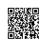 D55342E07B330BRWS QRCode