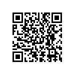 D55342E07B3B40RTP QRCode