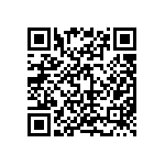 D55342E07B475ERWS QRCode