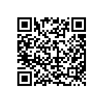 D55342E07B4B17RTP QRCode