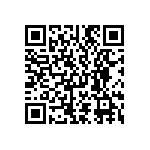 D55342E07B4B22RWS QRCode