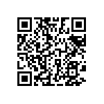 D55342E07B665ERWS QRCode