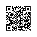 D55342E07B690ARWS QRCode