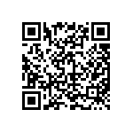 D55342E07B806ERWS QRCode