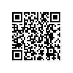 D55342E07B909ARWS QRCode